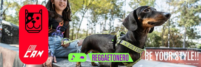 coolcan_Registro Nacional de Mascotas México 2022