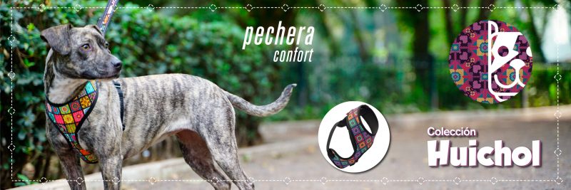coolcan_ ¿Cómo alimentar a un cachorro?
