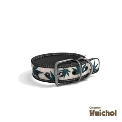 coolcan_¿Dónde comprar collares de perros?