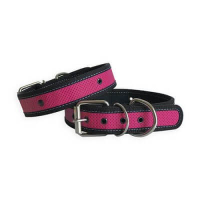 coolcan_¿Dónde comprar collares de perros?