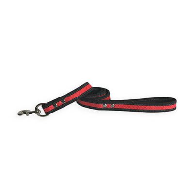 coolcan_fabricantes de accesorios de mascotas