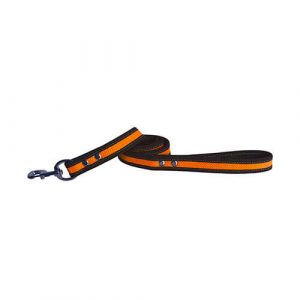 Correa Neon
