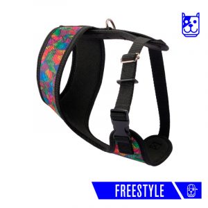 pechera de colores coolcan