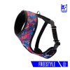 pechera de colores coolcan