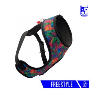 pechera de colores coolcan