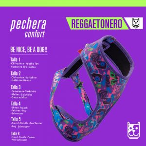 Pechera “Reguetonero”