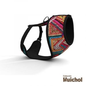 Huichol (infinito)