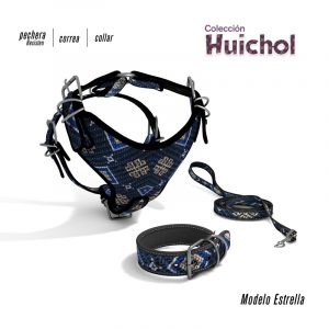 Set Huichol "Resisten"