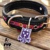 coolcan_Accesorios para perros