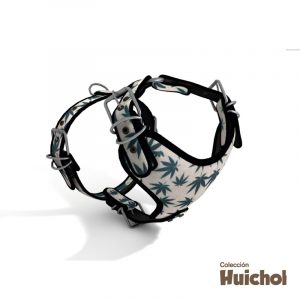 Huichol (Buena Vida)