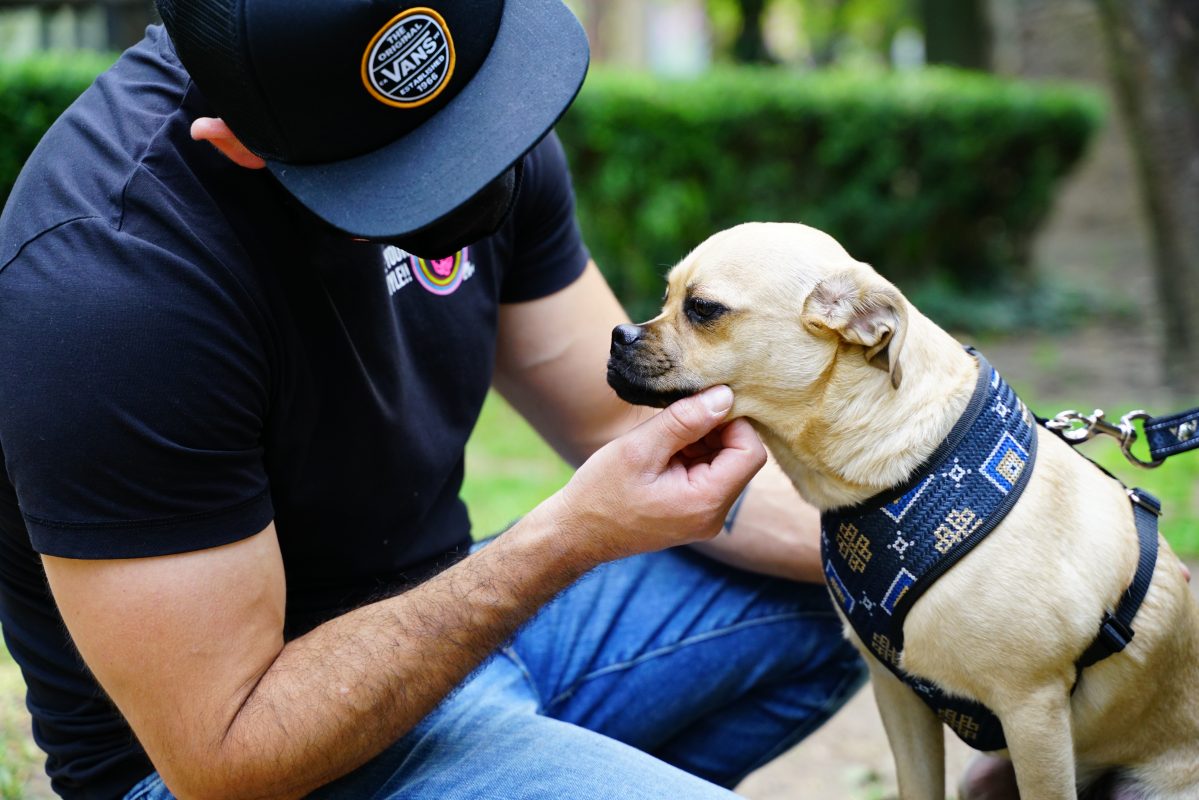 coolcan_¿Cómo saber si mi perro me ama?
