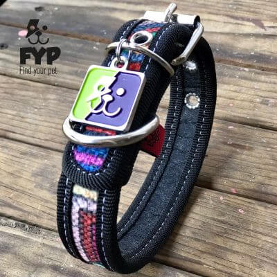 coolcan_Correas para perros