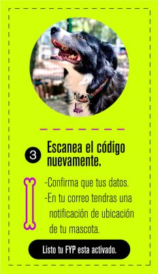 coolcan_¿Cómo encontrar a mi perro que se perdió?