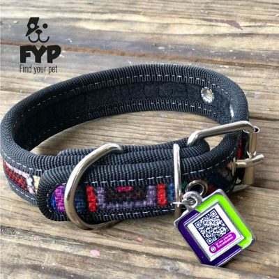 coolcan_Estadísticas de perros perdidos a nivel mundial