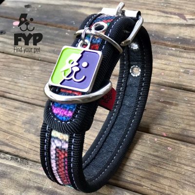 coolcan_Estadísticas de perros perdidos a nivel mundial