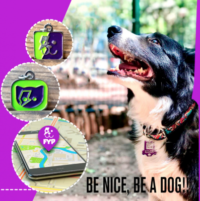 coolcan_Placa para gato con geolocalización
