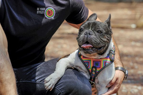 coolcan_Proveedores de accesorios para mascotas en México
