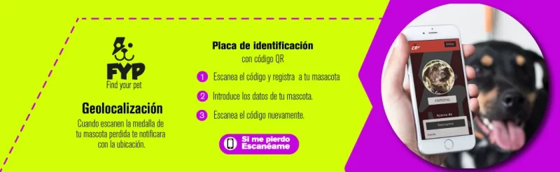 coolcan_Mi perro se perdió