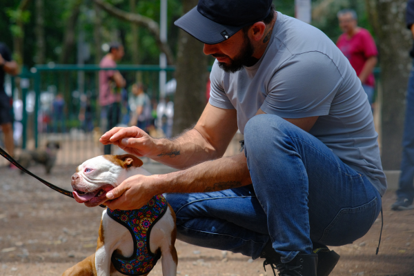 coolcan_Fabricantes de correas y arneses para mascotas