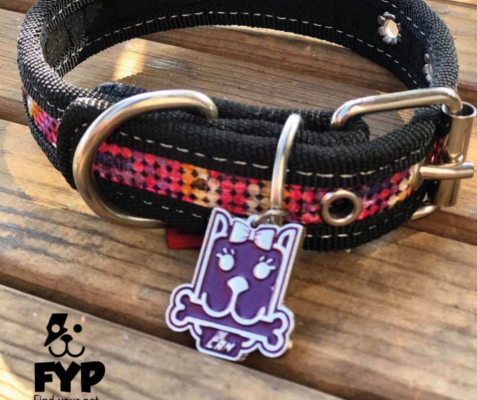 coolcan_Responsabilidad con tu Mascota