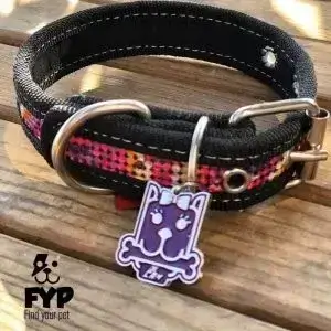 coolcan_¿Qué hay que comprar para un perro?