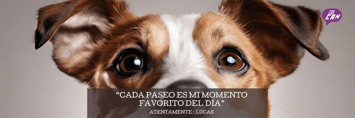 Runpedia_Tienda para mascotas en México