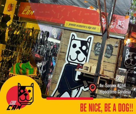 coolcan_Compra Accesorios para Perros: Guía Completa para ti.