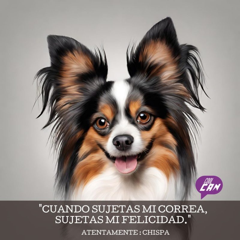 coolcan_Peludos amigos y niños. Guia definitiva para perros y niños.
