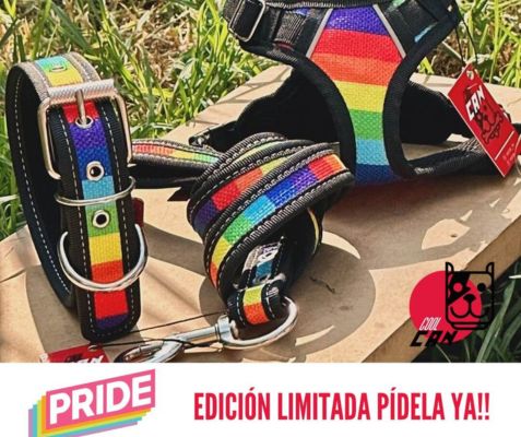 coolcan_Pecheras para perros edición limitada que lo harán brillar.