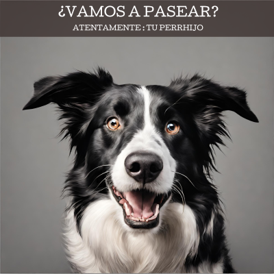 coolcan_10 cosas q los perros adoran