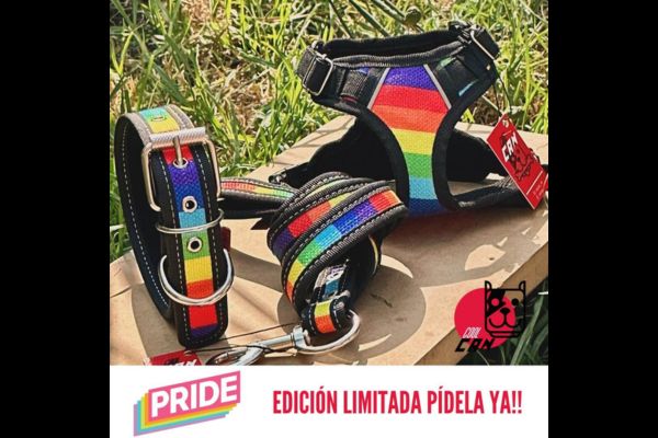 coolcan_Pecheras de Colores 2024.