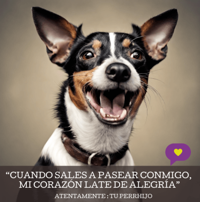 coolcan_Descubre los secretos para mantener libre a tu mascota de parásitos.