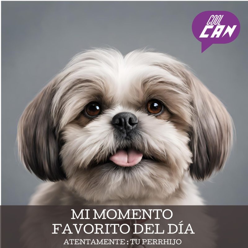 Coolcan_VENTA DE ACCESORIOS PARA MASCOTAS